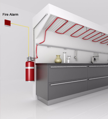 Seguridad Industrial Contra Incendio S. de R.L. extintores